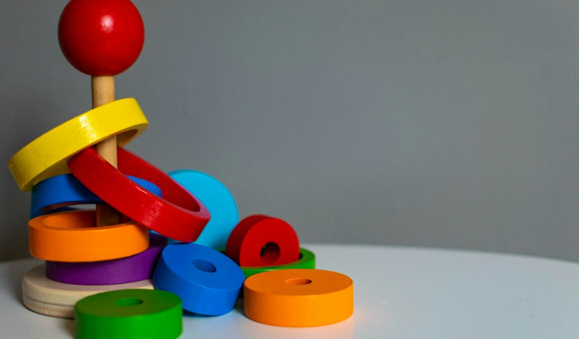 blue green yellow and red plastic toy