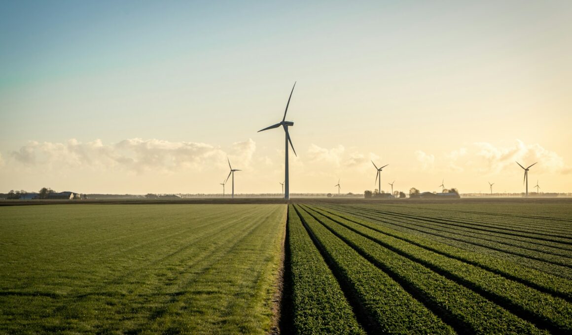 wind turbines on green grass field under blue sky during daytime