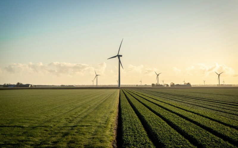 wind turbines on green grass field under blue sky during daytime