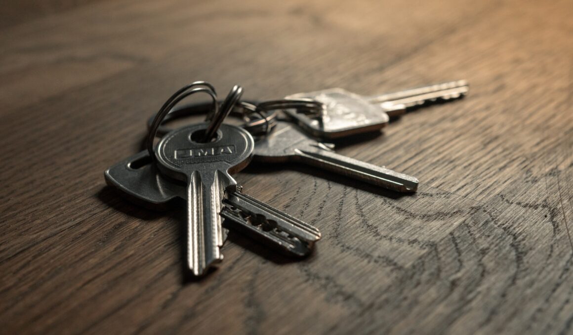 a bunch of keys sitting on top of a wooden table