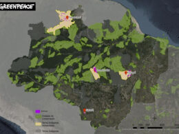 Localização das Terras Indígenas monitoradas pelo Greenpeace Brasil.