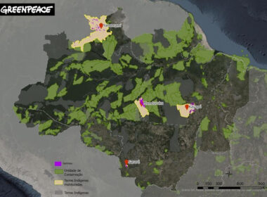 Localização das Terras Indígenas monitoradas pelo Greenpeace Brasil.