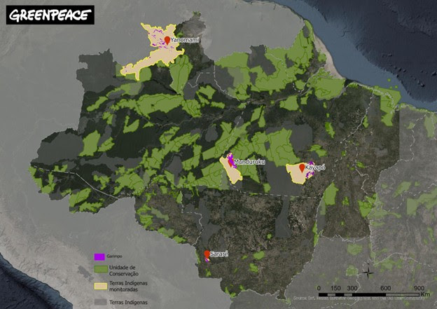 Localização das Terras Indígenas monitoradas pelo Greenpeace Brasil.