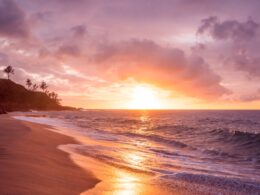 beach seashore during sunset