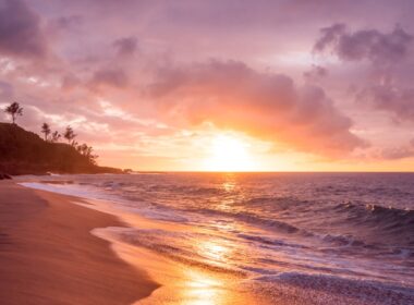 beach seashore during sunset