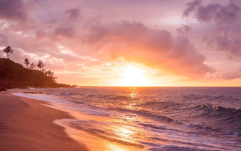 beach seashore during sunset