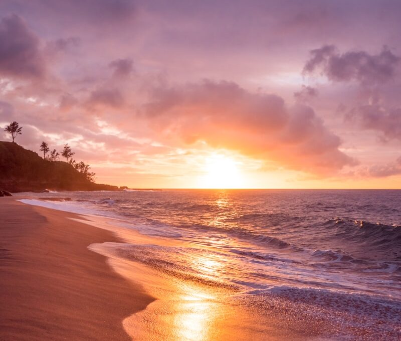 beach seashore during sunset