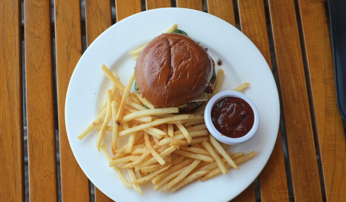 A burger and fries sit on a white plate.