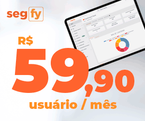 Segfy
