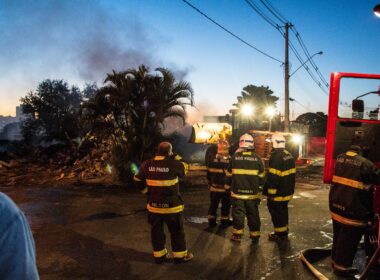 fireman standing near trees and vehicle
