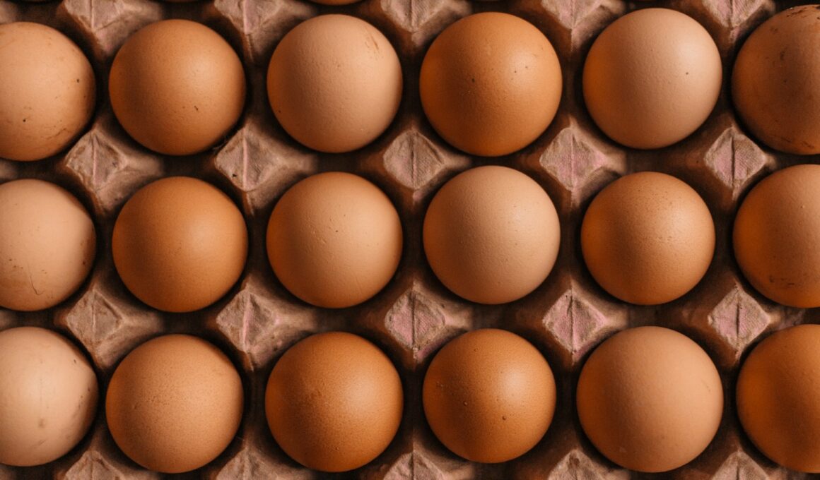 native egg lot