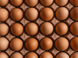 native egg lot