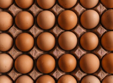 native egg lot