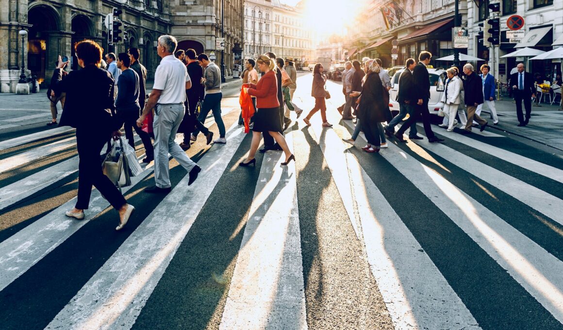 group of people walking on pedestrian lane