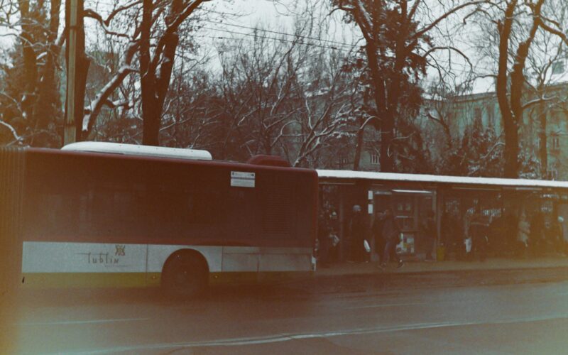 white and red bus on road near bare trees during daytime