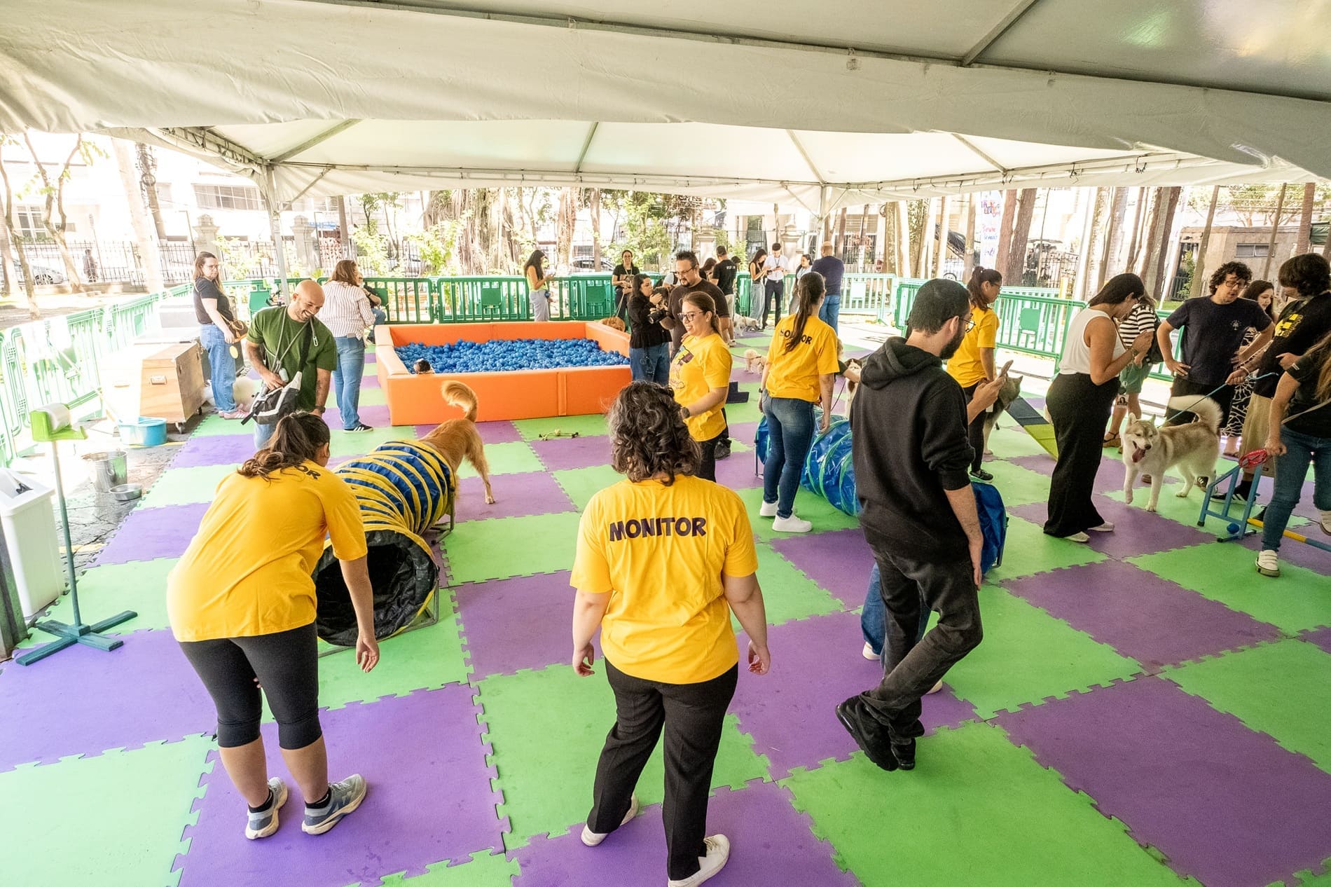 Tokio Marine promove Dog Day para Colaboradores em São Paulo / Foto: Divulgação